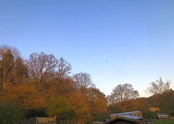 Shepherds Huts Ham Hill, 2 Double Beds, Bathroom, Lounge, Diner, Kitchen, Love Dogs & Cats Looking Out To Lake And By Ham Hill Country Park Plus Parking For Large Vehicles Available Also Great Deals On Workers Long Term This Is The Place To Relax And