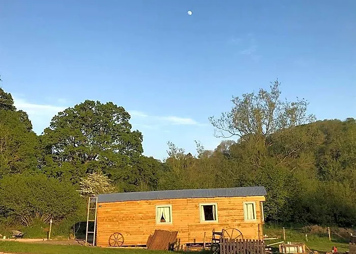 Shepherds Huts Ham Hill, 2 Double Beds, Bathroom, Lounge, Diner, Kitchen, Love Dogs & Cats Looking Out To Lake And By Ham Hill Country Park Plus Parking For Large Vehicles Available Also Great Deals On Workers Long Term This Is The Place To Relax And