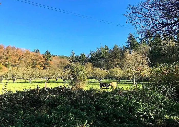 Shepherds Huts Ham Hill, 2 Double Beds, Bathroom, Lounge, Diner, Kitchen, Love Dogs & Cats Looking Out To Lake And By Ham Hill Country Park Plus Parking For Large Vehicles Available Also Great Deals On Workers Long Term This Is The Place To Relax And